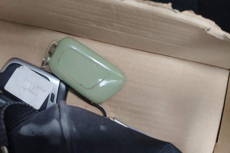 Used Chery Little Ant 2022 Revised Version Sweet Pink Edition Half-Sugar Version Lithium Iron Phosphate 30.7 kWh 30 kW 301 km Interior 1