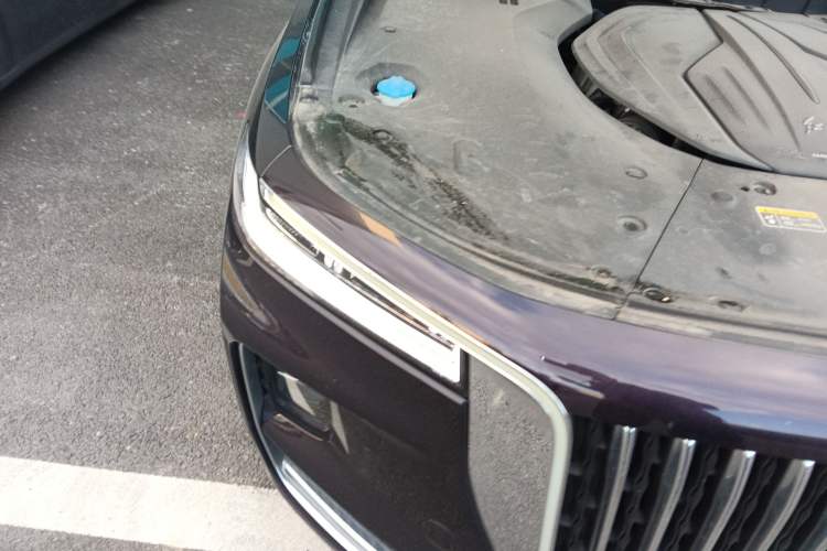 Used Hongqi H9 2020 2.0T Smart Connect Flagship Edition
