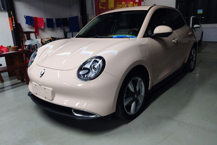 Used ORA Good Cat 2023 401 km Standard Range Premium Version Lithium Iron Phosphate