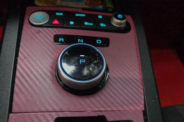 Used BYD e2 2021 Comfort Model Gear Lever