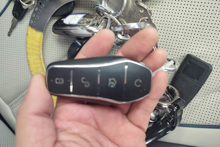 Used BYD Destroyer 05 2024 HONOR Edition DM-i 55KM Luxury Model Vehicle Key