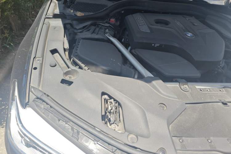 Used BMW 5 Series 2020 530Li Luxury Edition M Sport Package