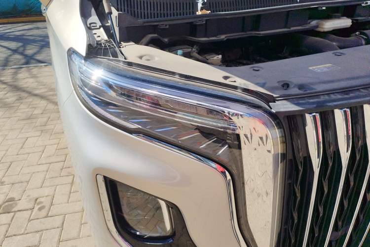 Used Hongqi HQ9 2023 2.0T Smart Connect Flagship Edition
