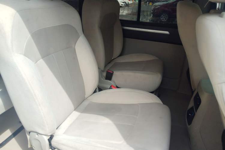 Used FORTHING Lingzhi M5 2020 Long-Range Version Comfort Model 7 Seats
