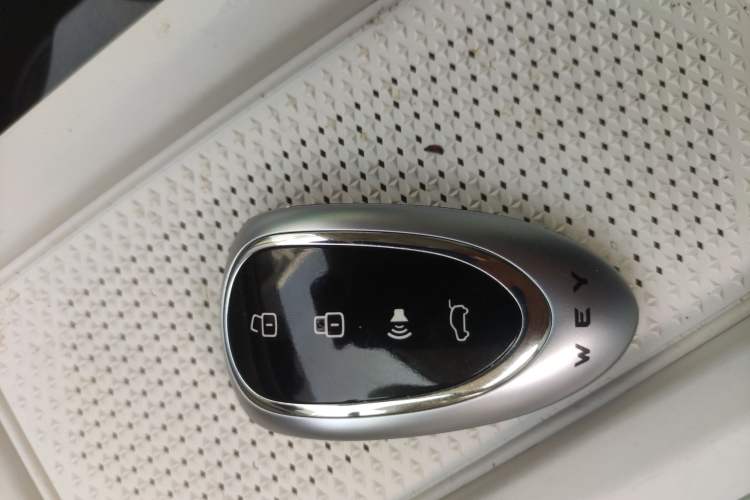 Used Wey Lanshan 2025 Four-Wheel Drive Max
