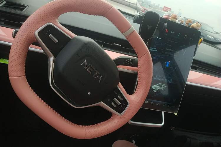 Used NETA V 2021 Long-Range Industry Custom Edition
