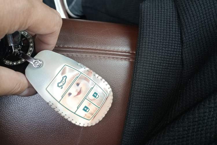 Used Alfa Romeo Stelvio 2017 2.0T 200HP Luxury Edition