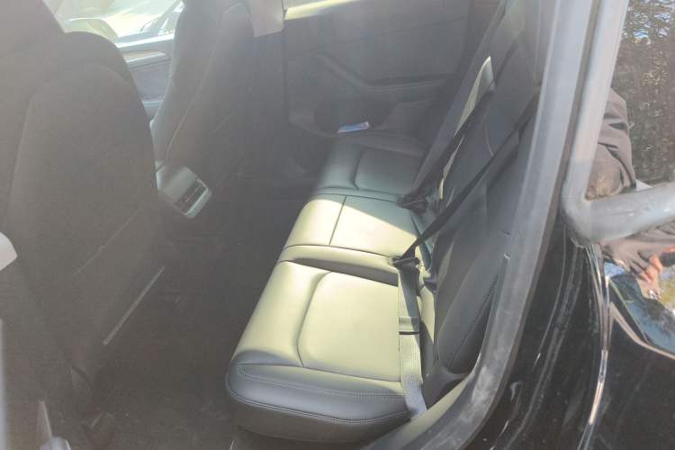 Used Tesla Model Y 2021 Standard Range Rear-Wheel Drive Version Left Rear Seat