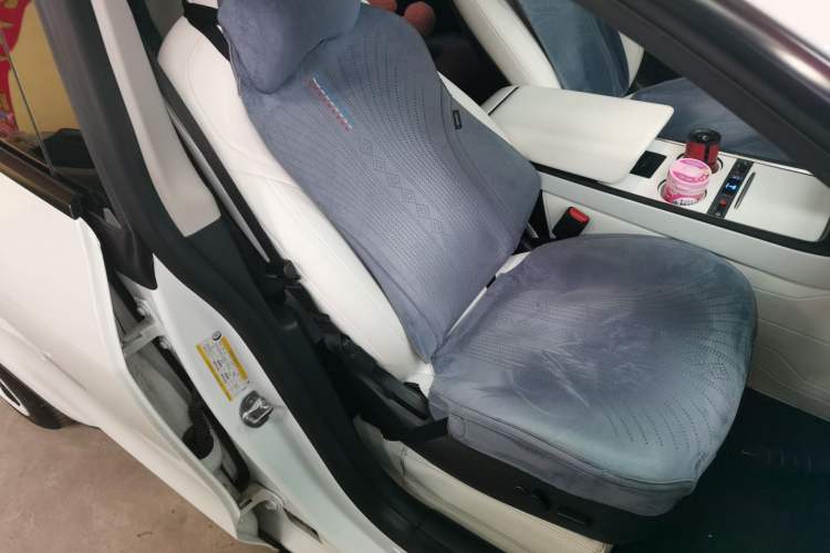 Used Tesla Model Y 2021 Long-Range All-Wheel-Drive Version Right Front Seat