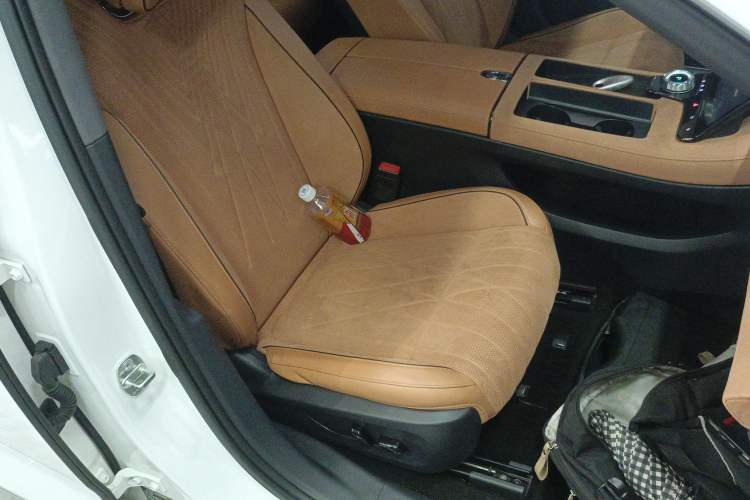 Used VOYAH PASSION 2023 Four-Wheel Drive Flagship Edition