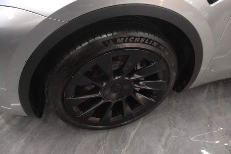 Used Tesla Model Y 2021 Standard Range Rear-Wheel Drive Version