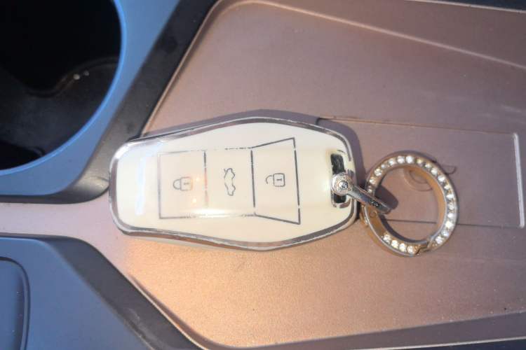 Used SOL E10X 2022 Flower Fairy Style Baby's Breath