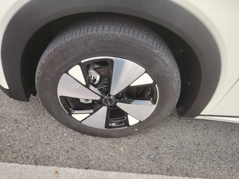 Used BYD Dolphin 2023 420 km Free Version — 22
