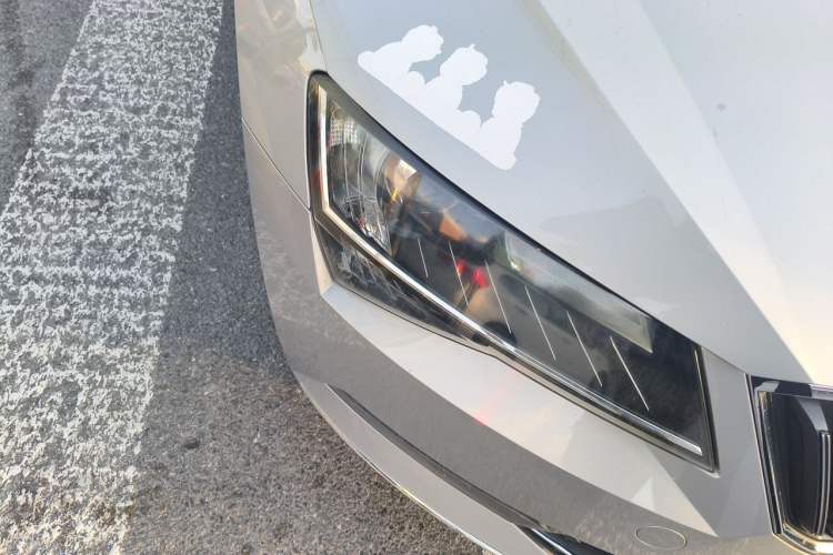 Used Skoda Superb 2018 TSI280 DSG Comfort Edition China V Standard

