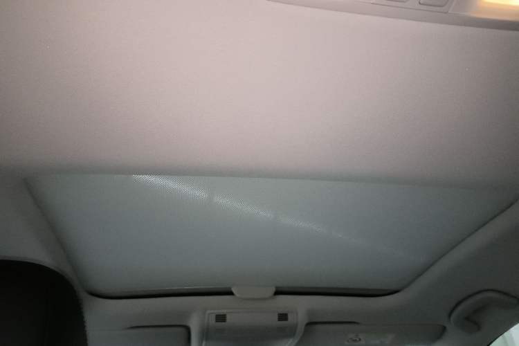 Used Volkswagen Golf Pure Electric 2020 Chari Headliner