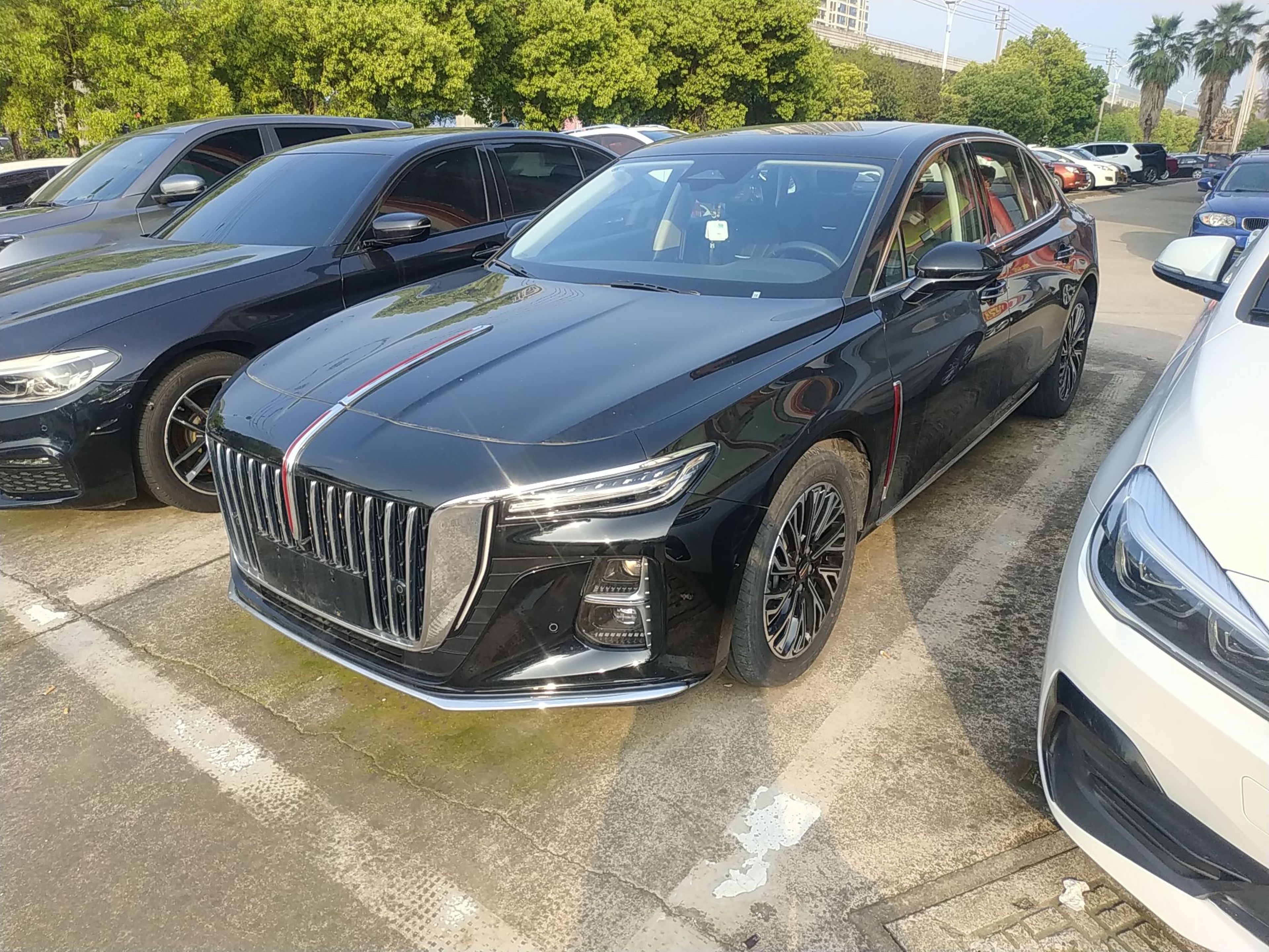 Parte inferior delantera