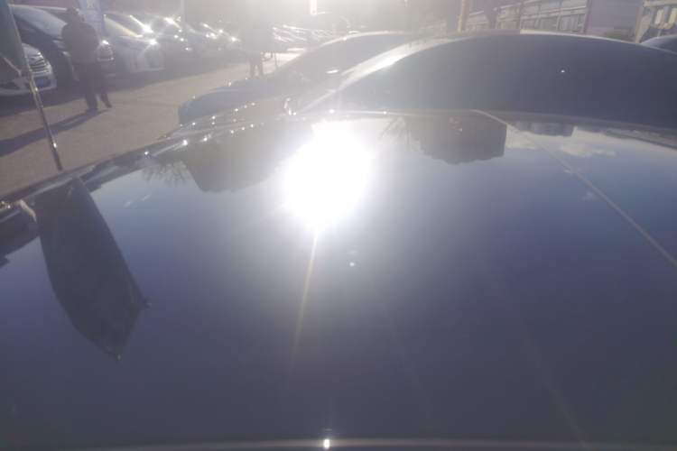 Used Tesla Model 3 2022 Rear-Wheel-Drive Version Roof