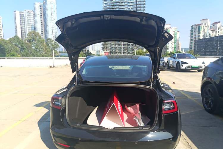 Used Tesla Model 3 2020 Standard Range Rear-Wheel Drive Upgraded Version