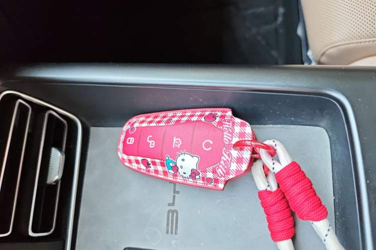 Used BYD Song Pro New Energy 2025 Second-Generation DM-i 75KM Leading Edition Vehicle Key