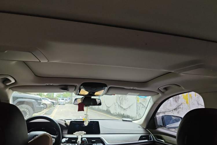 Used BMW 5 Series New Energy 2020 530Le Luxury Package Headliner