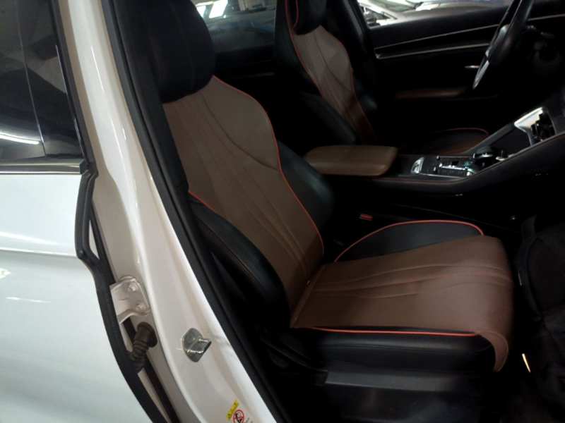Used BYD Song PLUS 2020 1.5T Automatic Luxury Version — 24