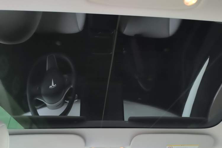 Used Tesla Model 3 2022 Rear-Wheel-Drive Version Headliner