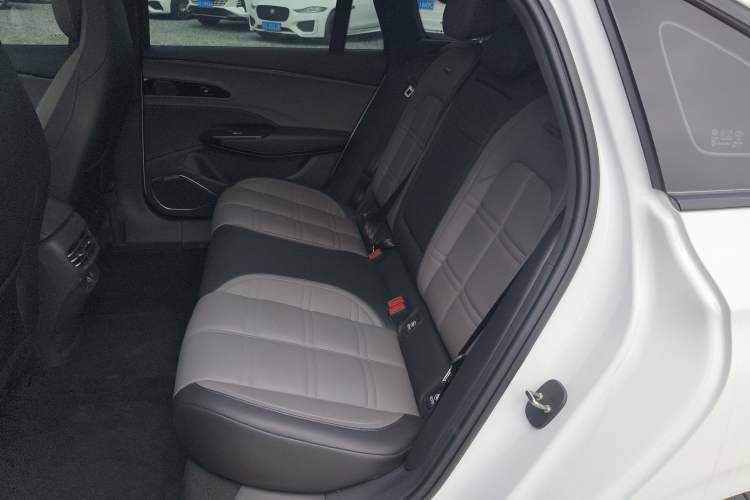 Used Hongqi EH7 2024 760 Pro+ Four-Wheel Drive Version Left Rear Seat