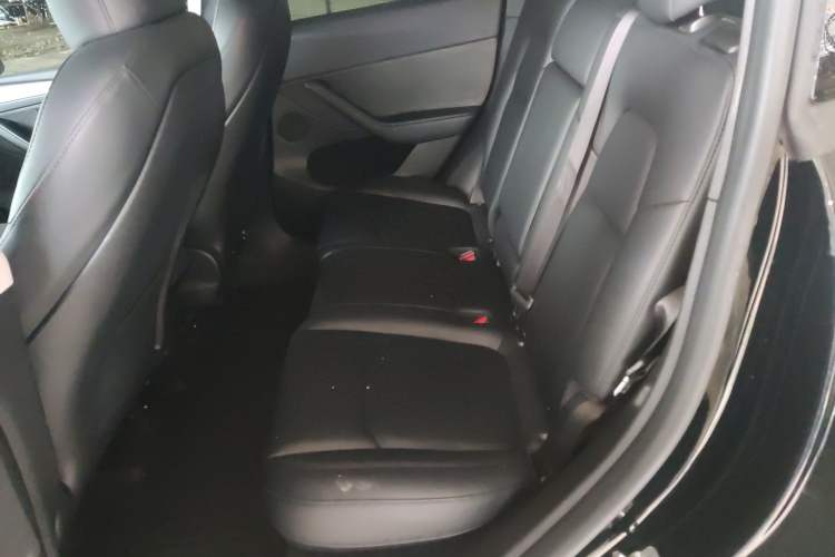 Used Tesla Model Y 2023 Rear-Wheel-Drive Version Left Rear Seat