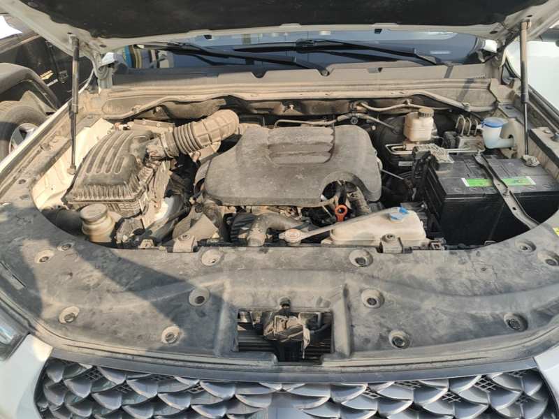 Used Great Wall Poer 2021 2.0T Commercial Version Automatic Diesel 4×4 Elite Long-Box GW4D20M — 19