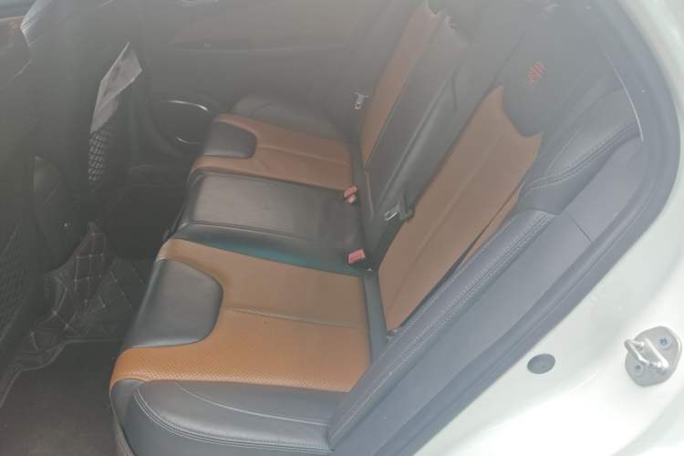 Used BYD Qin New Energy 2016 Qin EV300 Prestige Model
