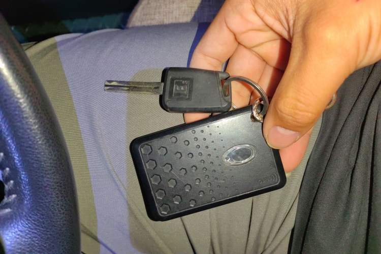 Used ORA iQ 2018 Smart Connectivity Model
