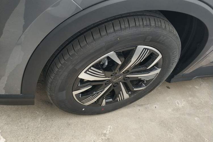 Used BYD Sealion 05 DM-i 2025 DM-i 75KM Luxury Model Exterior 4