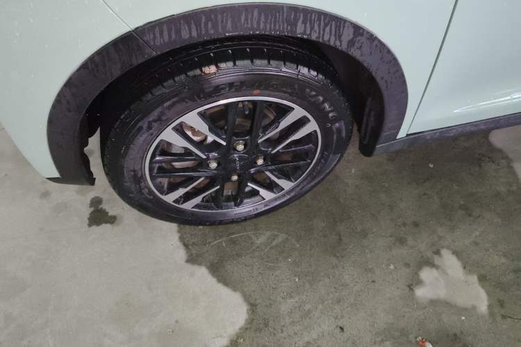 Used Chery QQ Little Ant 2023 251km True Love Edition Lithium Iron Phosphate Exterior 4