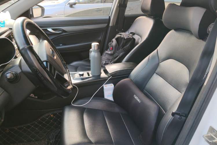 Used Geely Auto Emgrand New Energy 2018 EV450 Ambition Model Left Front Seat