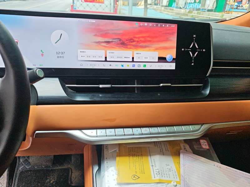 Used Wey Gaoshan 2023 Four-Wheel-Drive Executive Extended Version — 9