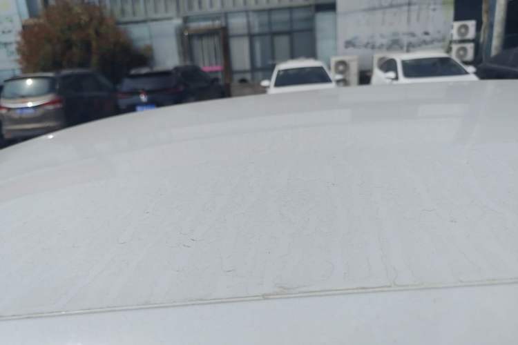 Used Leapmotor T03 2020 400 Standard Edition
