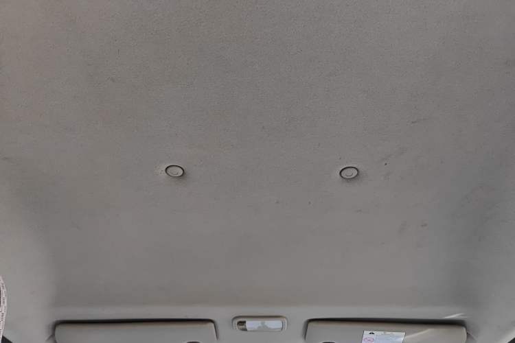 Used FORTHING Lingzhi 2020 M5L 1.6L Base Model 7 Seats Headliner