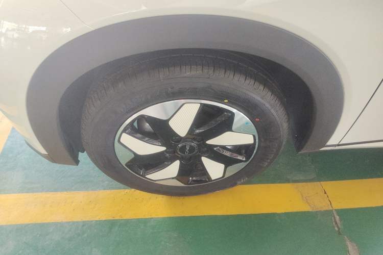 Used BYD Dolphin 2025 420km Free Edition