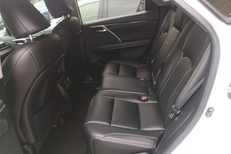 Used Lexus RX 2020 Revised Version 300 Two-Wheel Drive Elite Edition Left Rear Seat