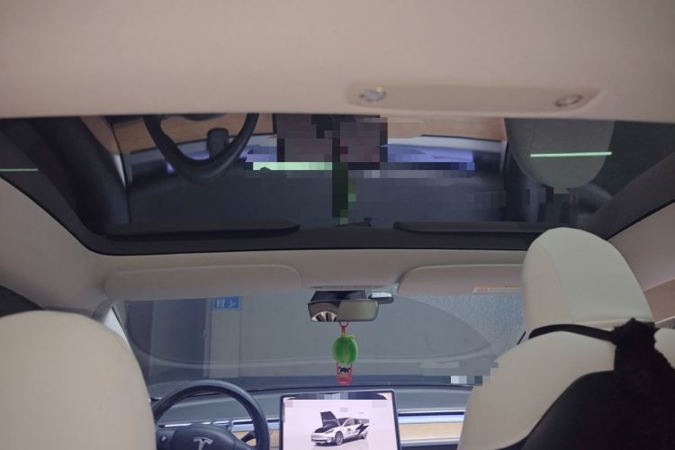 Used Tesla Model 3 2022 Rear-Wheel-Drive Version
