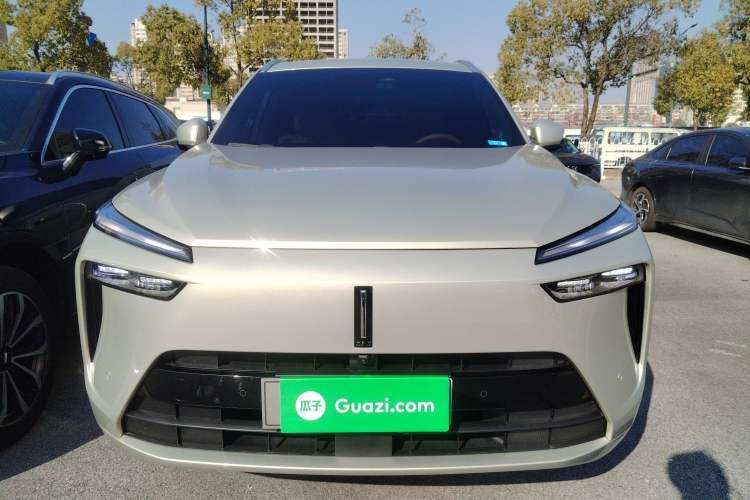 Used Wey Lanshan 2023 Four-Wheel Drive Ultra-Long Range Version
