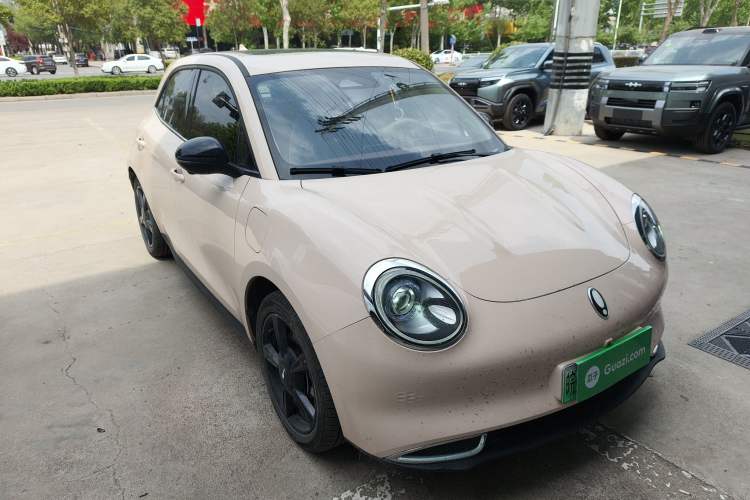 Used ORA Good Cat 2024 401 km Luxury Version Exterior 1