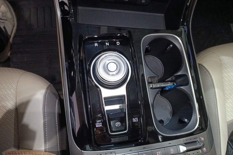 Used Kia Carnival 2021 2.0T Flagship Edition
