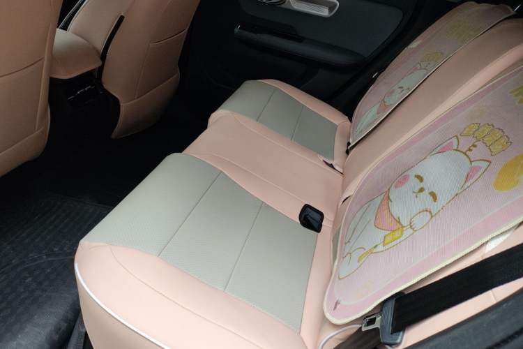 Used AION Y 2024 Plus 510 Intelligent Driving Version Left Rear Seat