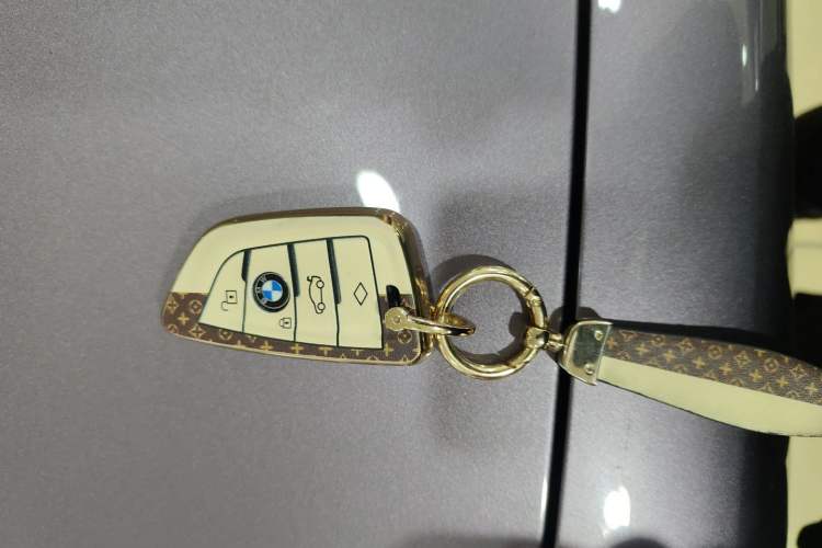 Used BMW X1 New Energy 2019 xDrive25Le Mileage Upgrade Version Vehicle Key