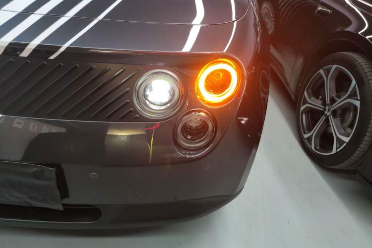 Used firefly 2025 Night Creature Special Edition
