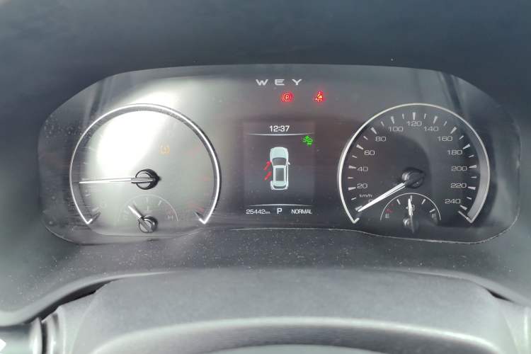 Used Wey VV5 2020 1.5T Two-Wheel Drive Color Pioneer
