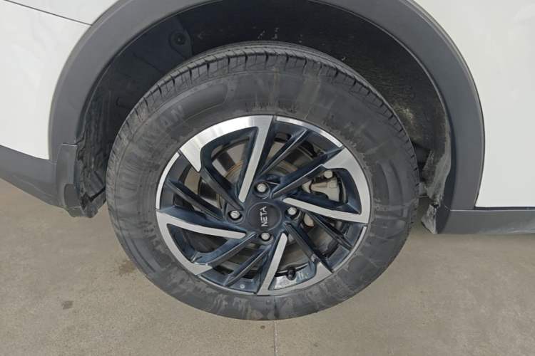 Used NETA V 2021 Long-Range Entertainment Edition Upgrade Model
