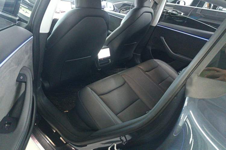 Used Tesla Model 3 2023 Long-Range All-Wheel-Drive Version Left Rear Seat