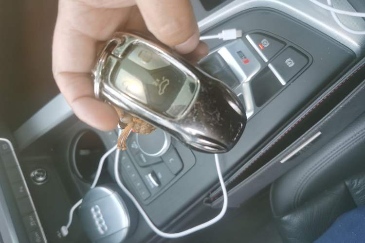 Used Audi A5 2019 Sportback 40 TFSI Fashion Model
